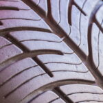 BFGoodrich g-Force Sport COMP-2 — фото 6